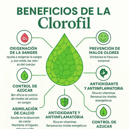 Doble Frescura Diaria: LLEVATE 2 CLOROFILAS  por el Precio de 1 y Siéntete Seguro Todo el Día